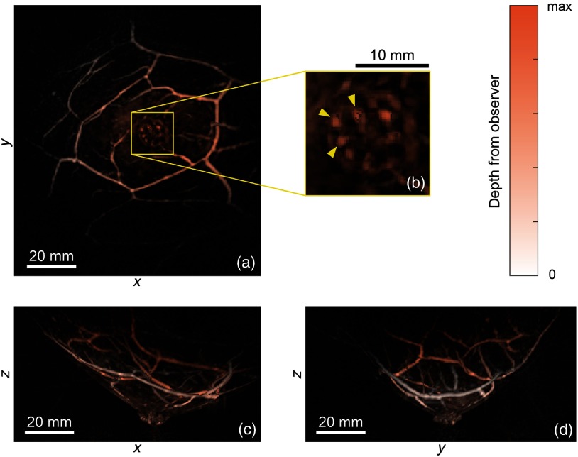 Fig. 10