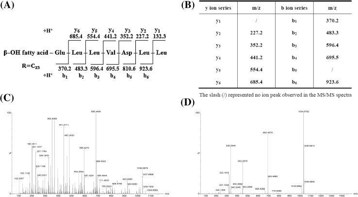 Fig. 4