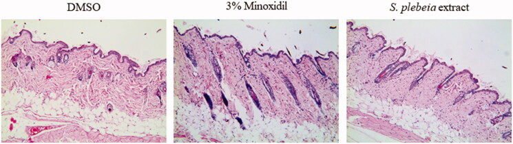 Figure 9.