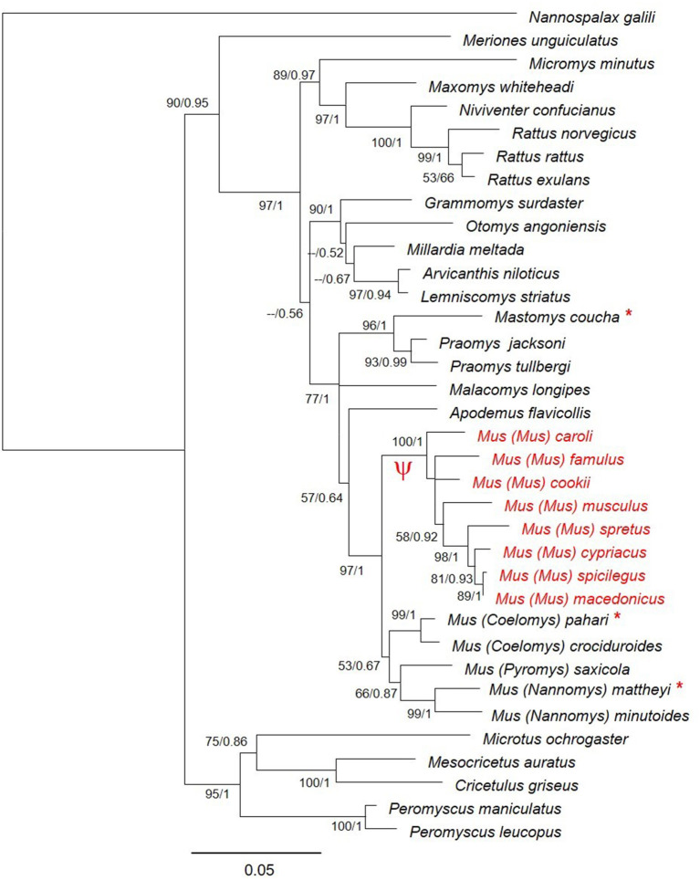 Figure 2