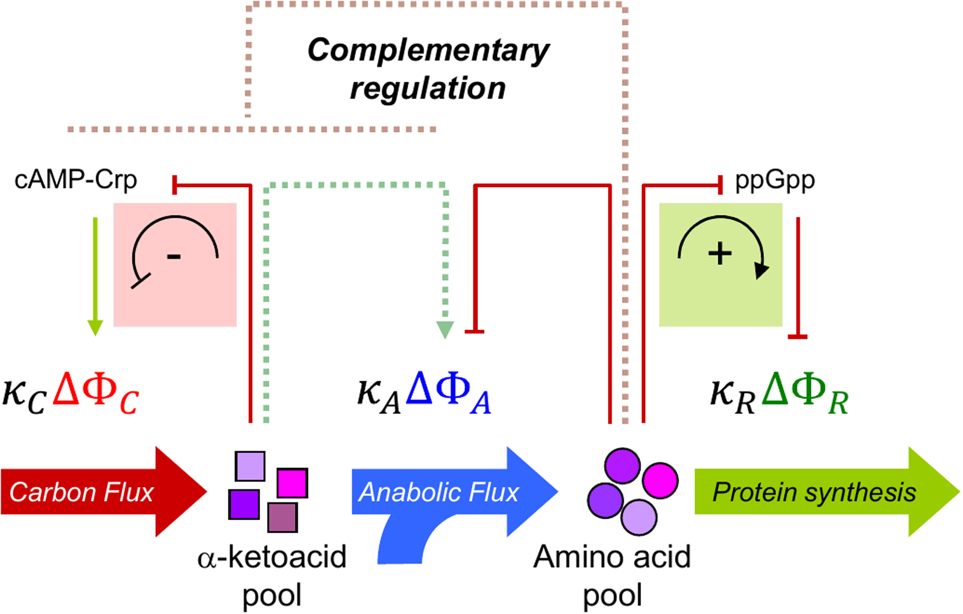 Figure 4: