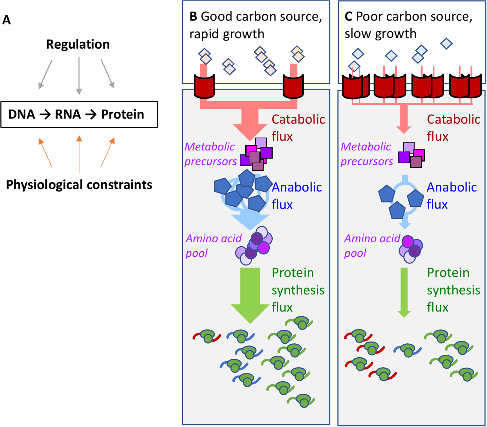 Figure 1: