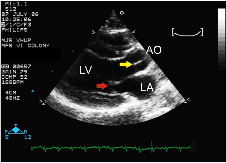 Figure 5