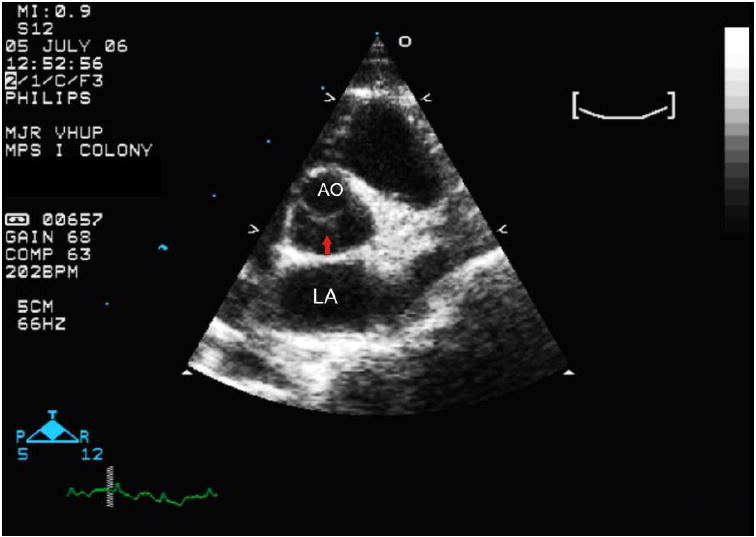 Figure 5