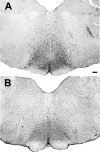 Figure1