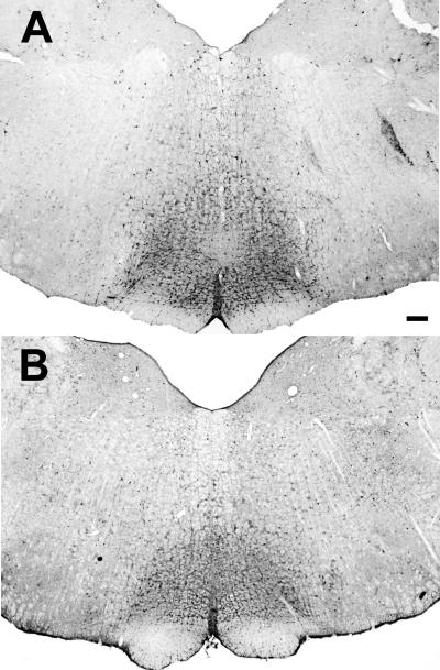 Figure1