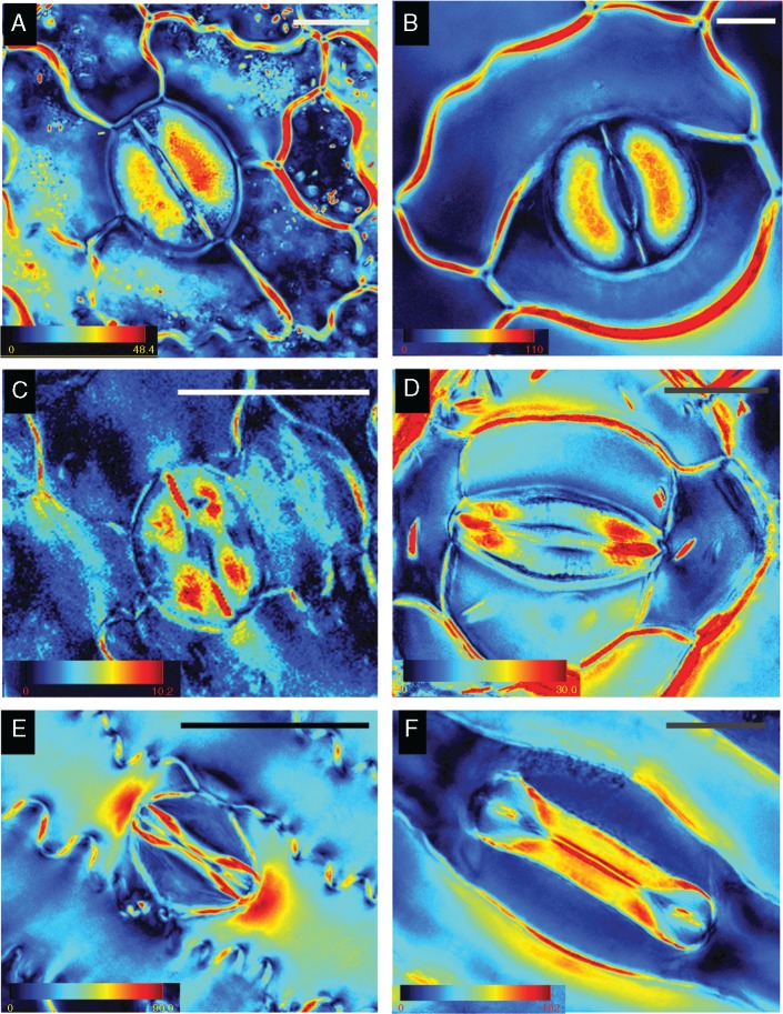 Fig. 4.