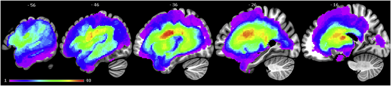 Fig. 2