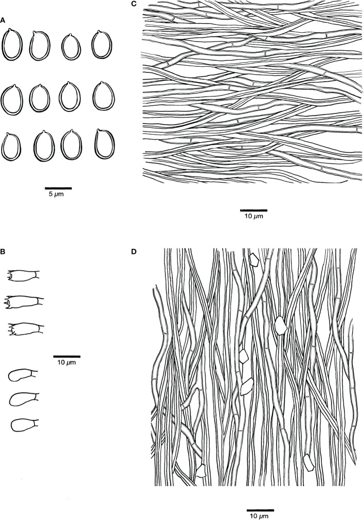 Figure 4
