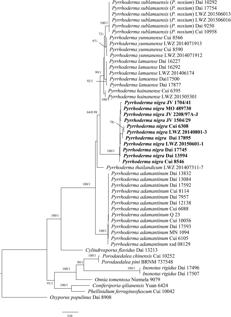 Figure 2