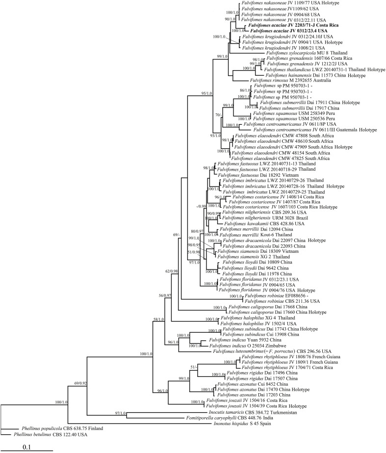 Figure 1