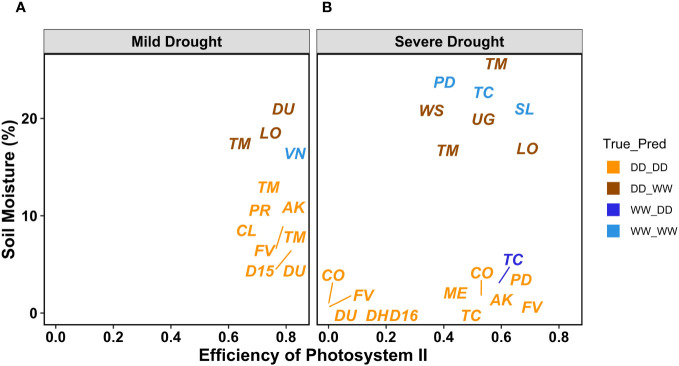 Figure 10