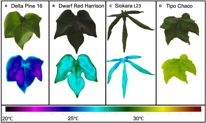 Figure 3