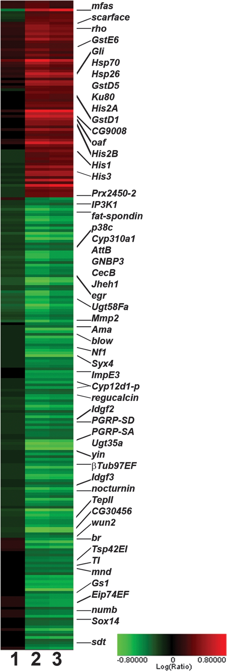 Figure 1.