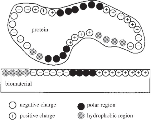 Figure 4.