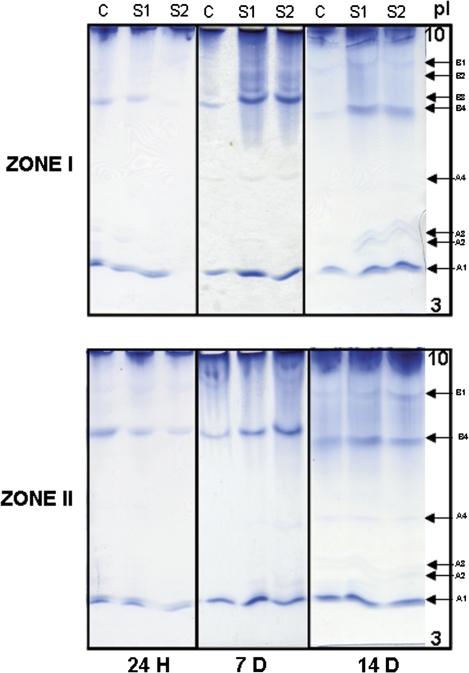 Fig. 6.