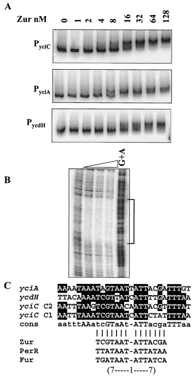 FIG. 5.