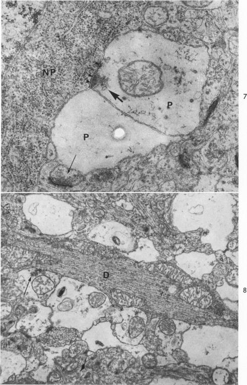 Fig. 7 and 8