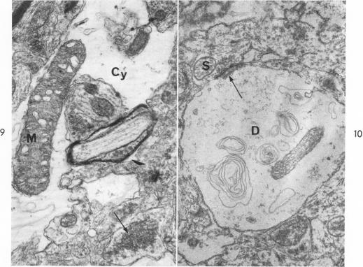 Fig. 9 and 10