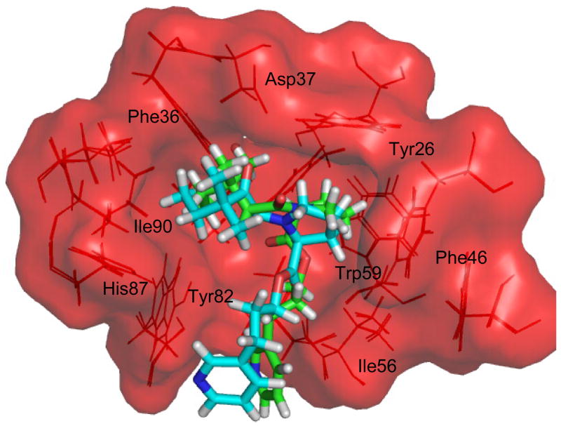 Figure 13