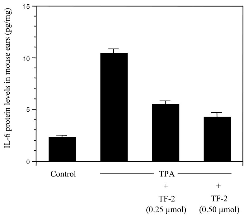 Fig.7