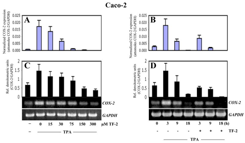 Fig.3