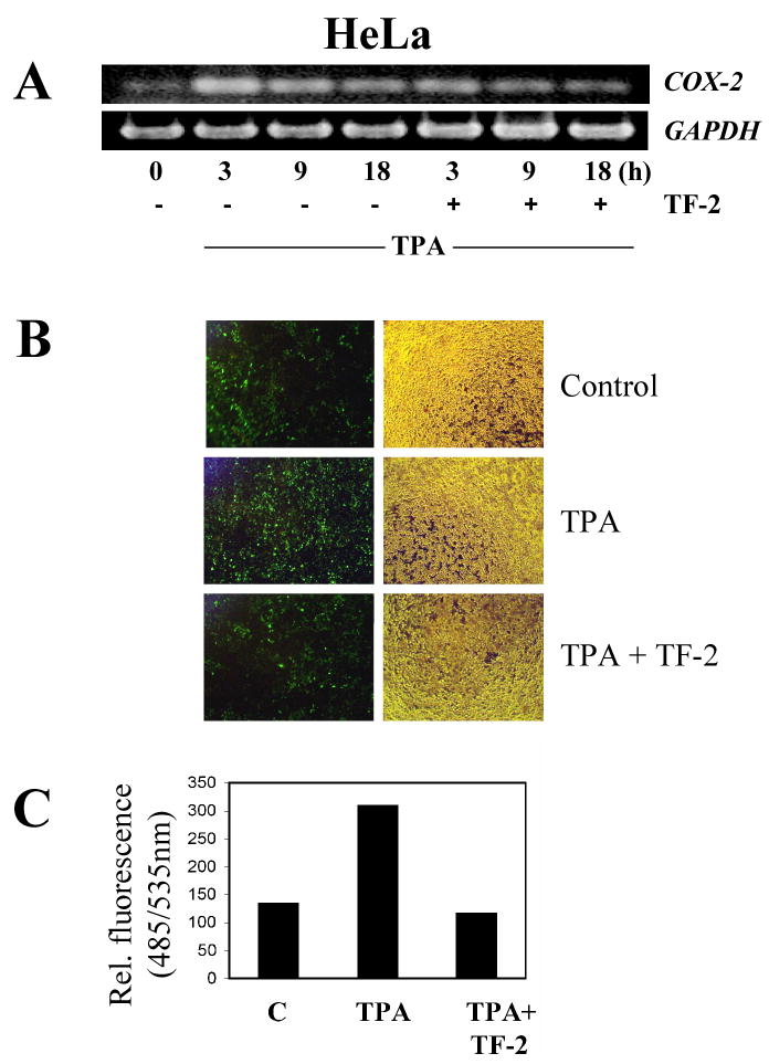 Fig.4