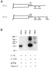 FIG 5