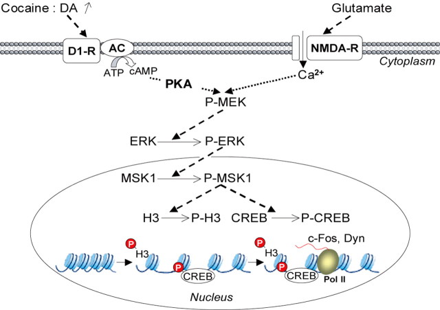 
Figure 9.
