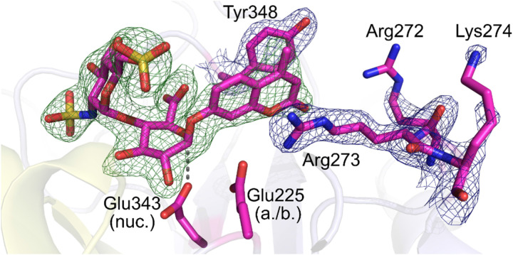 Figure 11