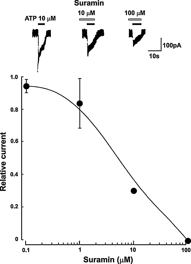 Fig. 7