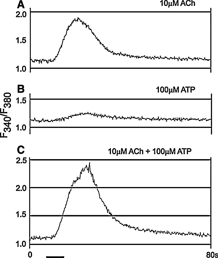 Fig. 1