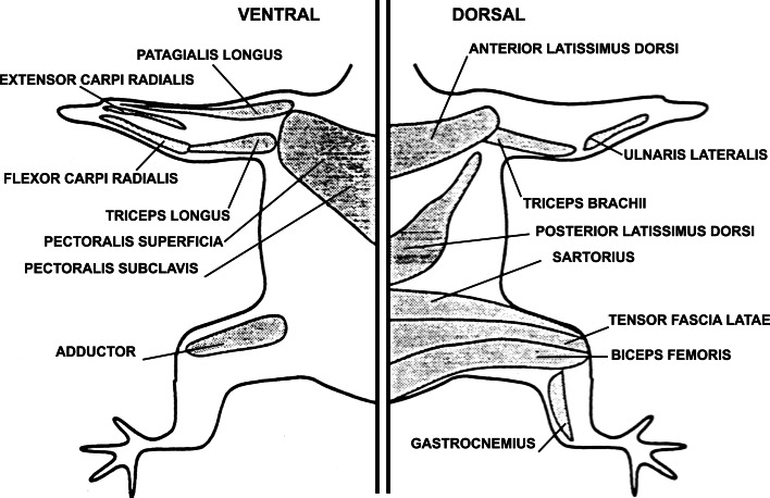 Fig. 4