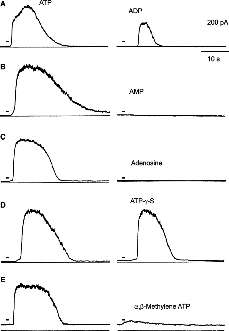 Fig. 3