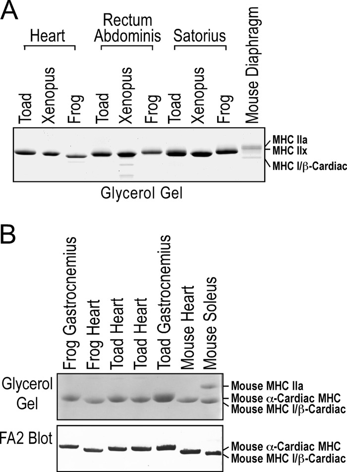 FIGURE 9.