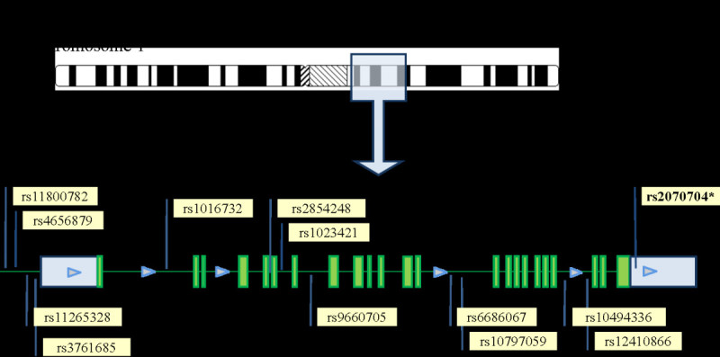 Figure 1