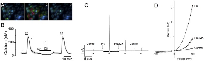 Fig 2