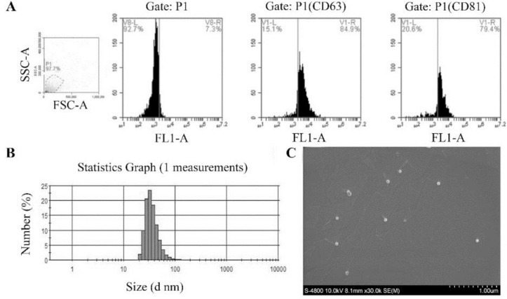 Fig. 2: