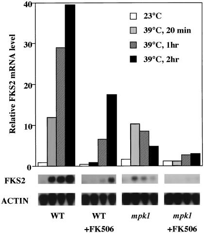 FIG. 6