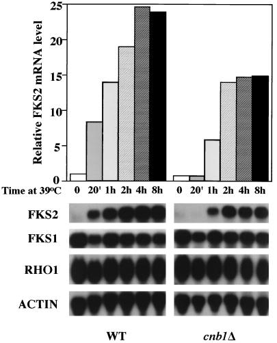 FIG. 4