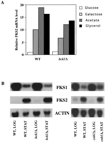 FIG. 8