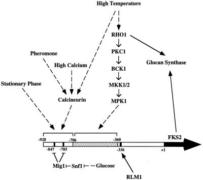 FIG. 9