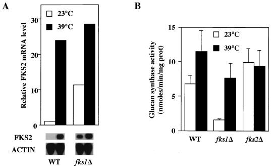 FIG. 5