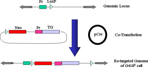 Fig. 2