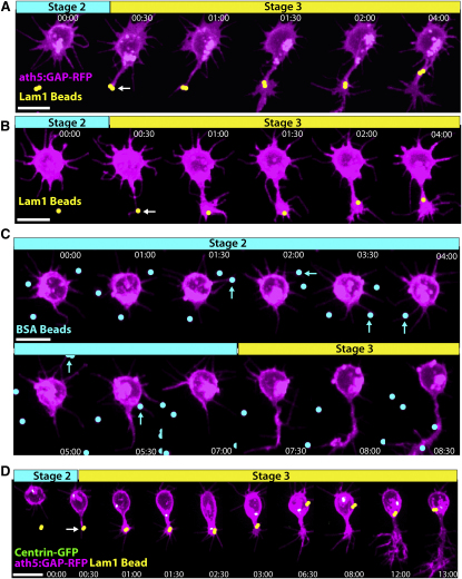 Figure 5