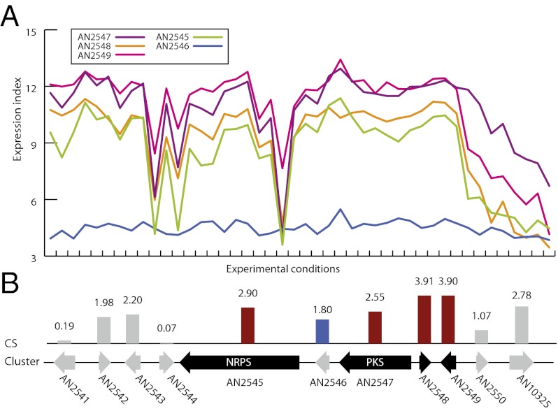 Fig. P1.