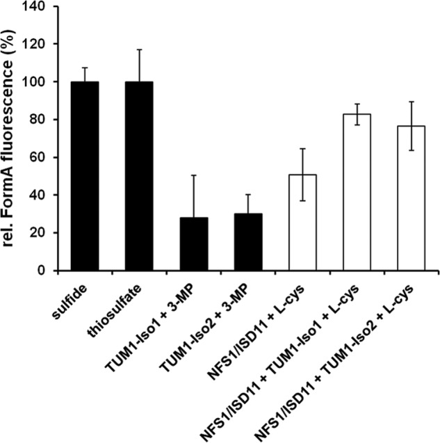 FIGURE 7.