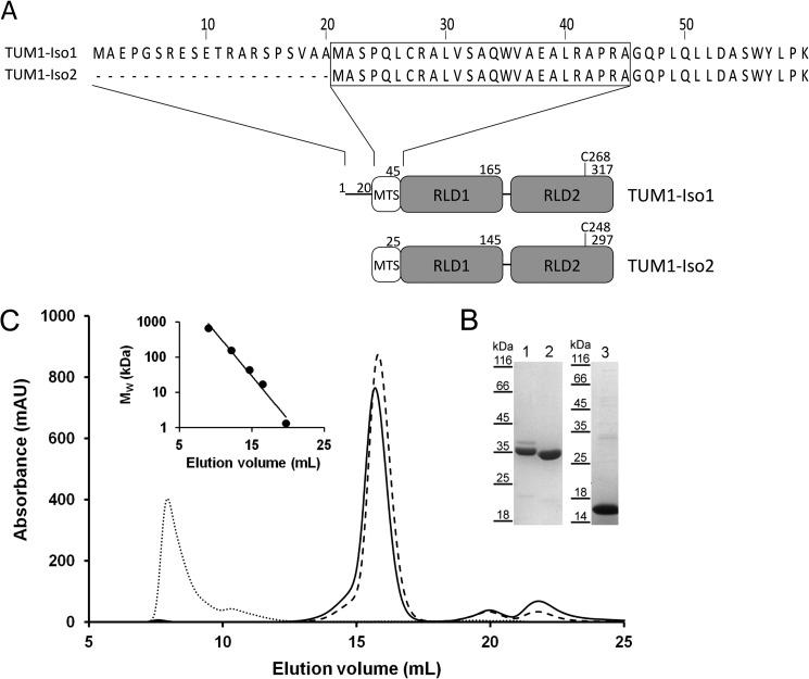 FIGURE 1.