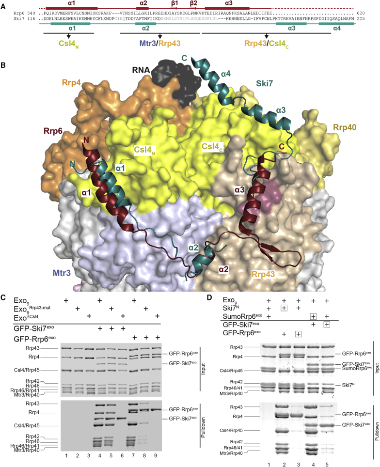 Figure 3