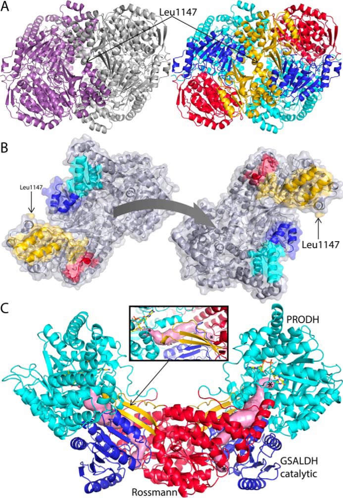 FIGURE 6.